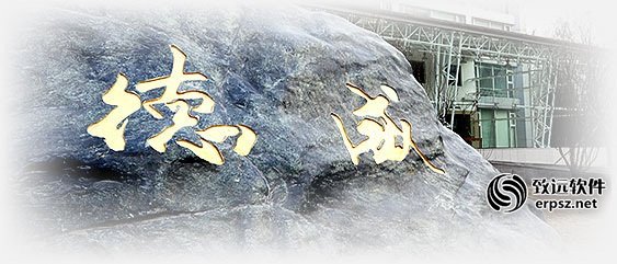 德威公司ERP