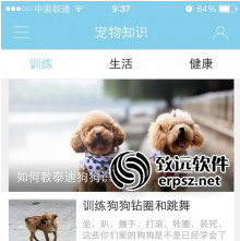 宠物乐园app案例