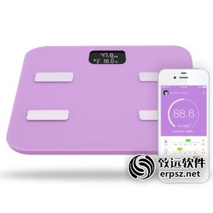 智能体重/体脂秤